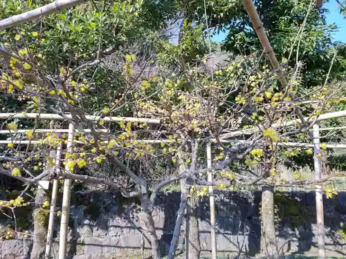 祐徳稲荷神社(佐賀県)