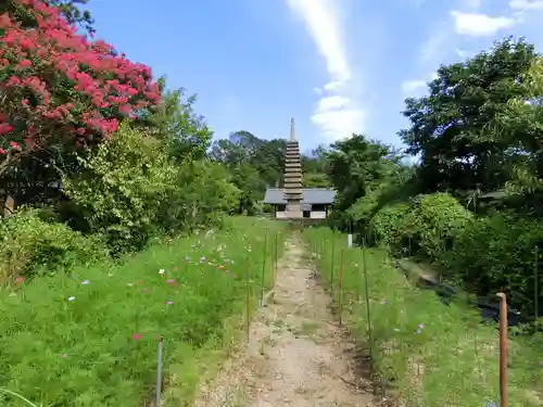 般若寺 ❁﻿コスモス寺❁の塔