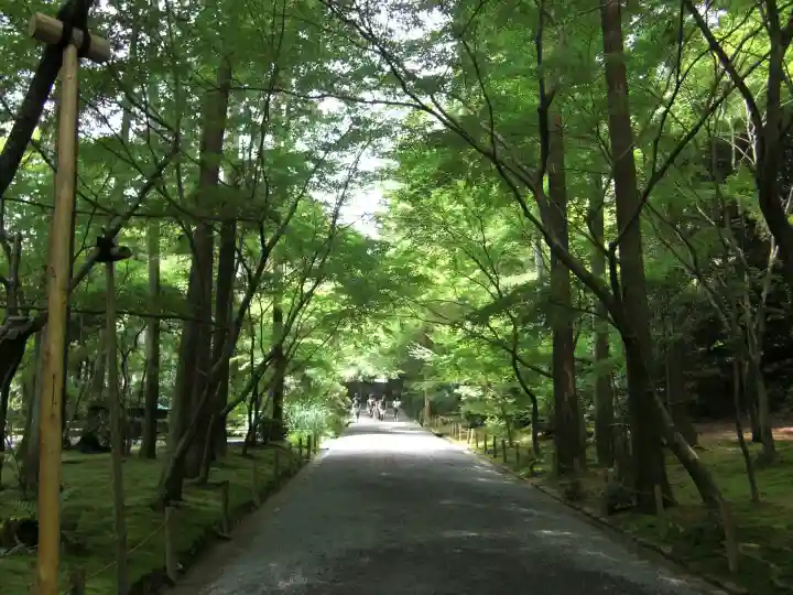 龍安寺の{uncategorized: "未分類", other: "その他", undefined: "問題あり", building: "その他建物", grave: "お墓", sacred_gate: "鳥居", guardian: "狛犬", statue: "像", buddha: "仏像", history: "歴史", nature: "自然", garden: "庭園", animal: "動物", pagoda: "塔", temizu: "手水舎", mountain_gate: "山門・神門", sanctuary: "本殿・本堂", subordinate: "末社・摂社", art: "芸術", scenery: "景色", jizo: "地蔵", ema: "絵馬", goshuin: "御朱印", omikuji: "おみくじ", items: "授与品その他", amulet: "お守り", goshuincho: "御朱印帳", eats: "食事", festival: "お祭り", votive_dance: "神楽", shichigosan: "七五三参", wedding: "結婚式", experience: "体験その他", initially: "初詣", around: "周辺", anti_infection: "感染症対策"}