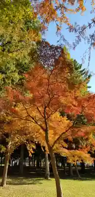 徳島稲荷神社の自然