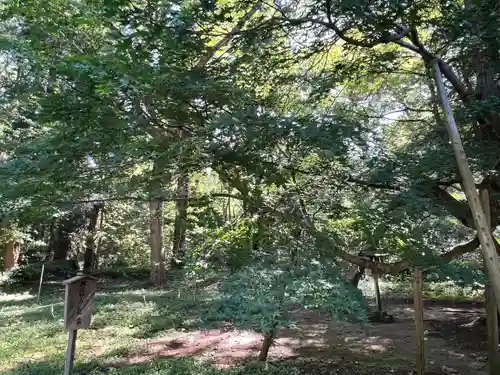 伊佐須美神社(福島県)