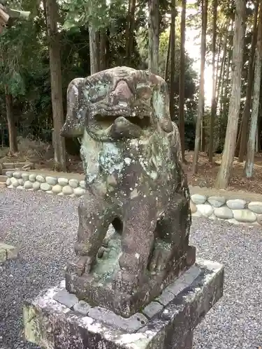 熊野社（塔野地）の狛犬