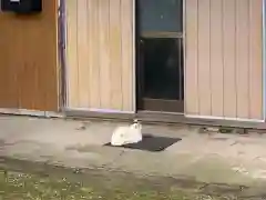 西願寺阿弥陀堂の動物