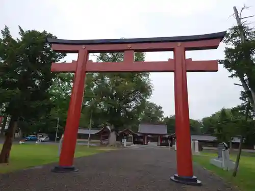 北海道護國神社の鳥居