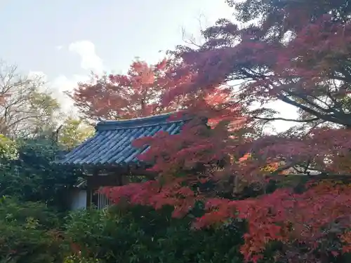 興福院のその他建物