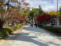 武田神社(山梨県)