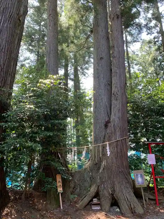 坪沼八幡神社(宮城県)