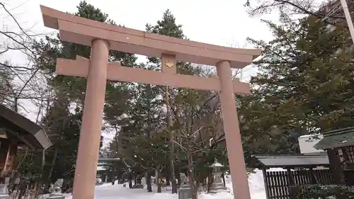 琴似神社の鳥居