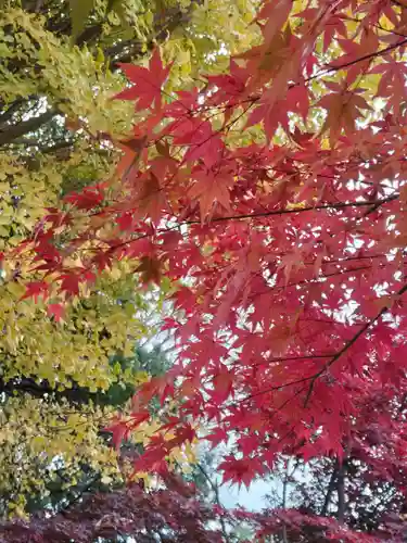 雲性寺の庭園