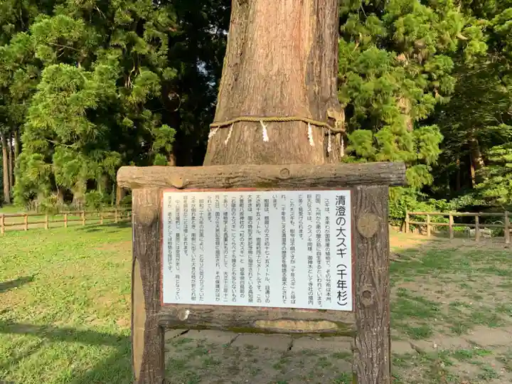 清澄寺のその他建物