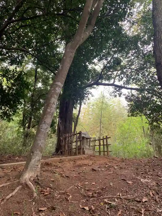 三峯神社(千葉県)