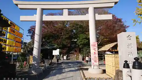 白旗神社の鳥居