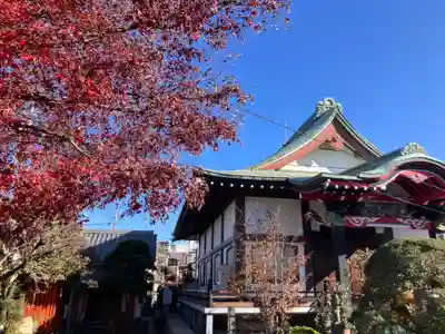 妙薬寺(東京都)