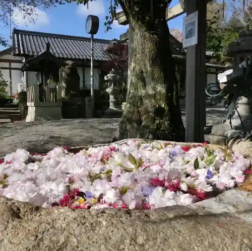 立志神社の手水舎