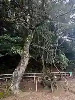 磯辺神社(京都府)