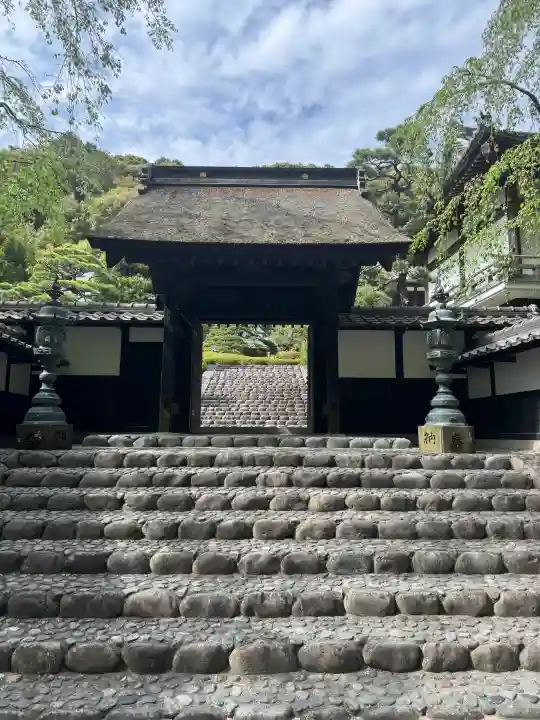 尊永寺の{uncategorized: "未分類", other: "その他", undefined: "問題あり", building: "その他建物", grave: "お墓", sacred_gate: "鳥居", guardian: "狛犬", statue: "像", buddha: "仏像", history: "歴史", nature: "自然", garden: "庭園", animal: "動物", pagoda: "塔", temizu: "手水舎", mountain_gate: "山門・神門", sanctuary: "本殿・本堂", subordinate: "末社・摂社", art: "芸術", scenery: "景色", jizo: "地蔵", ema: "絵馬", goshuin: "御朱印", omikuji: "おみくじ", items: "授与品その他", amulet: "お守り", goshuincho: "御朱印帳", eats: "食事", festival: "お祭り", votive_dance: "神楽", shichigosan: "七五三参", wedding: "結婚式", experience: "体験その他", initially: "初詣", around: "周辺", anti_infection: "感染症対策"}