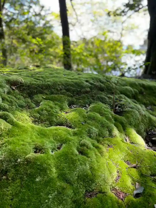 神田神社(滋賀県)