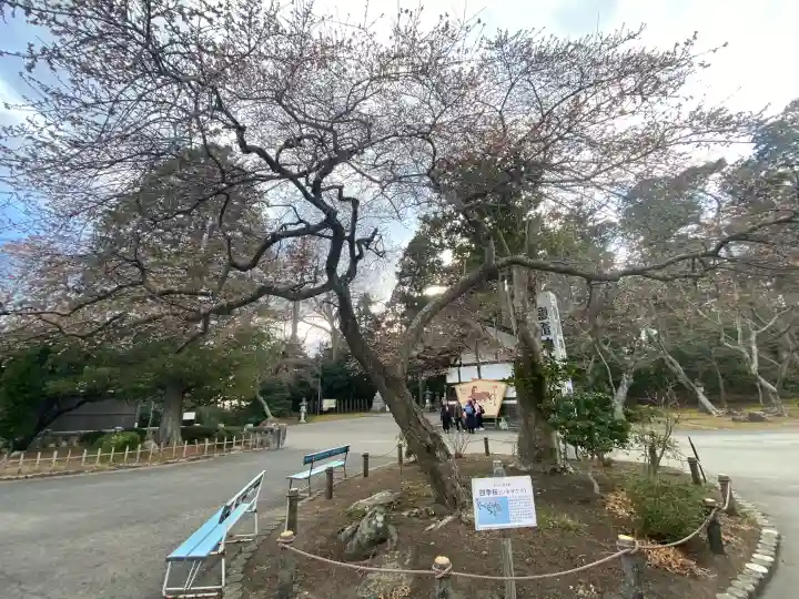 志波彦神社・鹽竈神社の{uncategorized: "未分類", other: "その他", undefined: "問題あり", building: "その他建物", grave: "お墓", sacred_gate: "鳥居", guardian: "狛犬", statue: "像", buddha: "仏像", history: "歴史", nature: "自然", garden: "庭園", animal: "動物", pagoda: "塔", temizu: "手水舎", mountain_gate: "山門・神門", sanctuary: "本殿・本堂", subordinate: "末社・摂社", art: "芸術", scenery: "景色", jizo: "地蔵", ema: "絵馬", goshuin: "御朱印", omikuji: "おみくじ", items: "授与品その他", amulet: "お守り", goshuincho: "御朱印帳", eats: "食事", festival: "お祭り", votive_dance: "神楽", shichigosan: "七五三参", wedding: "結婚式", experience: "体験その他", initially: "初詣", around: "周辺", anti_infection: "感染症対策"}
