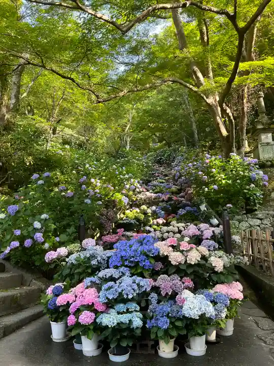 長谷寺(奈良県)