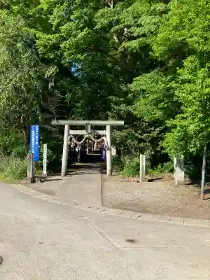 下野 星宮神社の{uncategorized: "未分類", other: "その他", undefined: "問題あり", building: "その他建物", grave: "お墓", sacred_gate: "鳥居", guardian: "狛犬", statue: "像", buddha: "仏像", history: "歴史", nature: "自然", garden: "庭園", animal: "動物", pagoda: "塔", temizu: "手水舎", mountain_gate: "山門・神門", sanctuary: "本殿・本堂", subordinate: "末社・摂社", art: "芸術", scenery: "景色", jizo: "地蔵", ema: "絵馬", goshuin: "御朱印", omikuji: "おみくじ", items: "授与品その他", amulet: "お守り", goshuincho: "御朱印帳", eats: "食事", festival: "お祭り", votive_dance: "神楽", shichigosan: "七五三参", wedding: "結婚式", experience: "体験その他", initially: "初詣", around: "周辺", anti_infection: "感染症対策"}