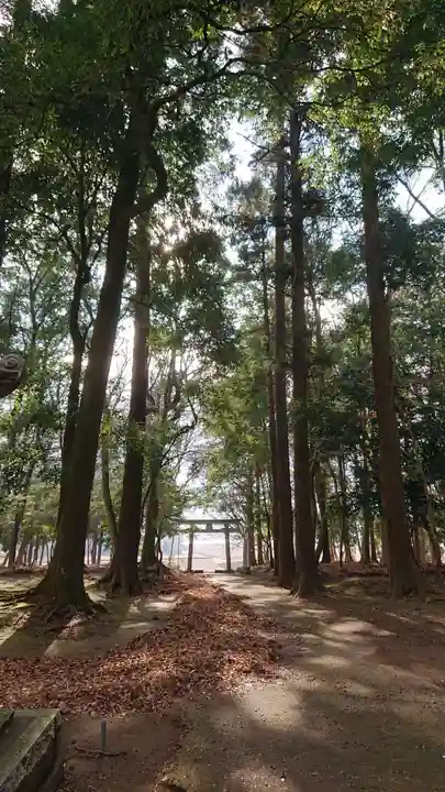 東蕗田天満社のその他建物