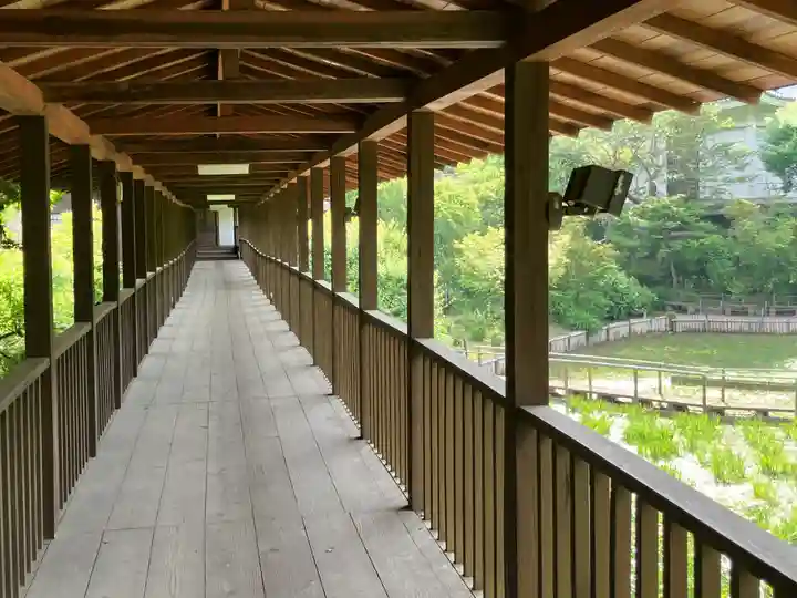 本土寺(千葉県)