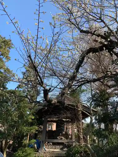 光明寺の建物その他