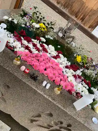 新川神社(富山県)