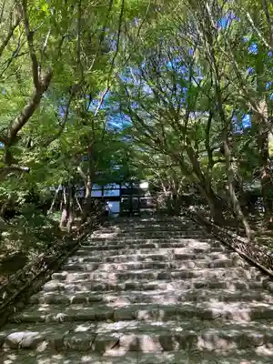 龍安寺(京都府)