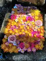 大鏑神社(福島県)