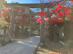 彌彦神社　(伊夜日子神社)(北海道)