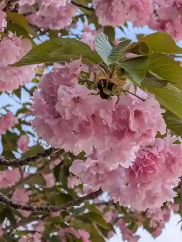 荘厳寺(東京都)