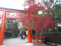 賀茂御祖神社(下鴨神社)(京都府)