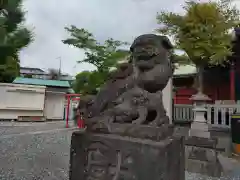 （芝生）浅間神社の狛犬