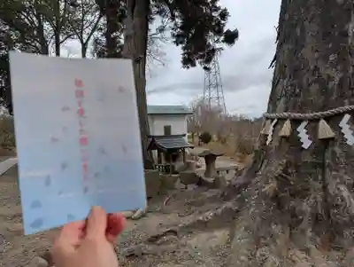阿久津「田村神社」（郡山市阿久津町）旧社名：伊豆箱根三嶋三社(福島県)