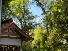 須山浅間神社(静岡県)