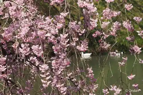 円通寺(兵庫県)