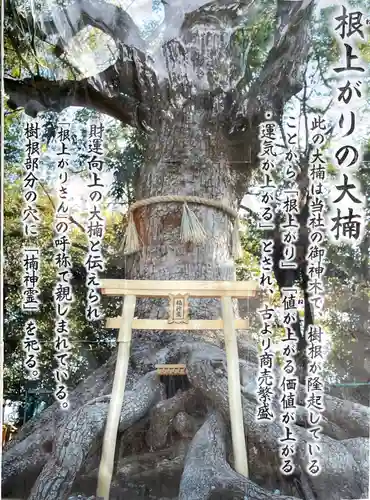 和泉國一之宮　大鳥大社のその他建物