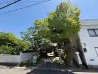 井際山 如意輪寺の{uncategorized: "未分類", other: "その他", undefined: "問題あり", building: "その他建物", grave: "お墓", sacred_gate: "鳥居", guardian: "狛犬", statue: "像", buddha: "仏像", history: "歴史", nature: "自然", garden: "庭園", animal: "動物", pagoda: "塔", temizu: "手水舎", mountain_gate: "山門・神門", sanctuary: "本殿・本堂", subordinate: "末社・摂社", art: "芸術", scenery: "景色", jizo: "地蔵", ema: "絵馬", goshuin: "御朱印", omikuji: "おみくじ", items: "授与品その他", amulet: "お守り", goshuincho: "御朱印帳", eats: "食事", festival: "お祭り", votive_dance: "神楽", shichigosan: "七五三参", wedding: "結婚式", experience: "体験その他", initially: "初詣", around: "周辺", anti_infection: "感染症対策"}