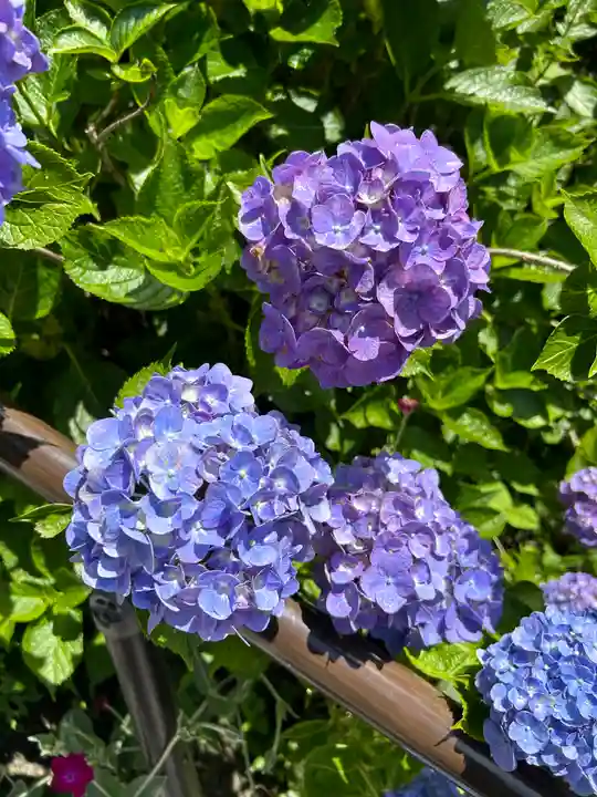 石都々古和気神社(福島県)