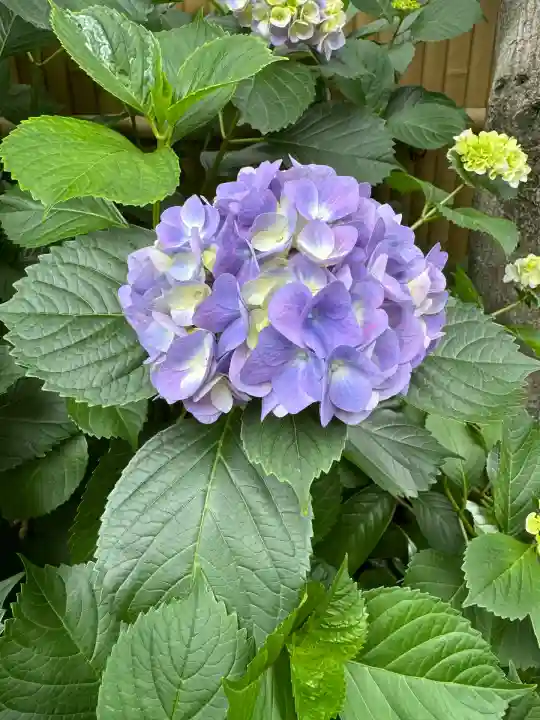 天栄寺(東京都)