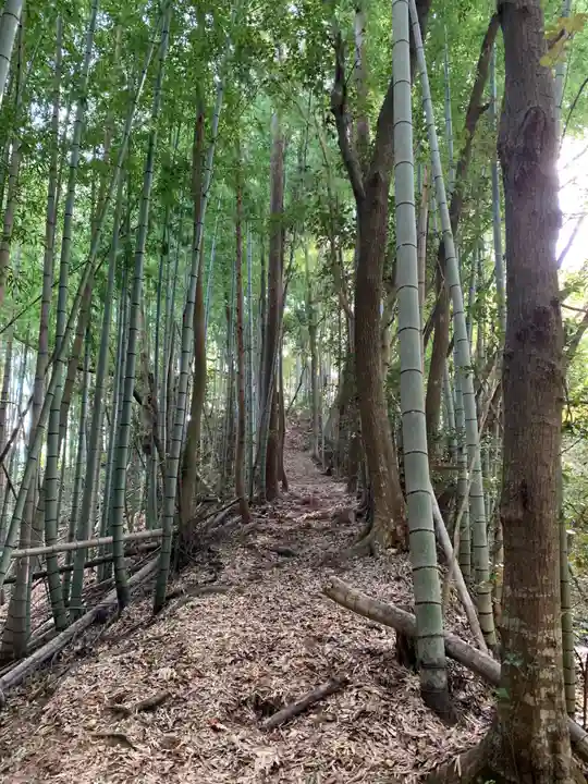 金毘羅神社の周辺