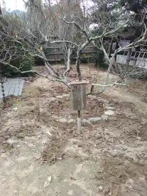 松山神社(愛媛県)