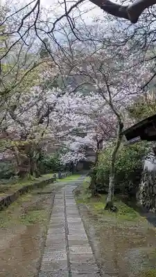 勝持寺（花の寺）(京都府)