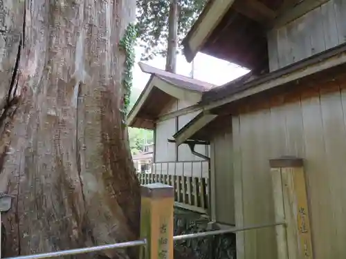 旗挙八幡宮の本殿