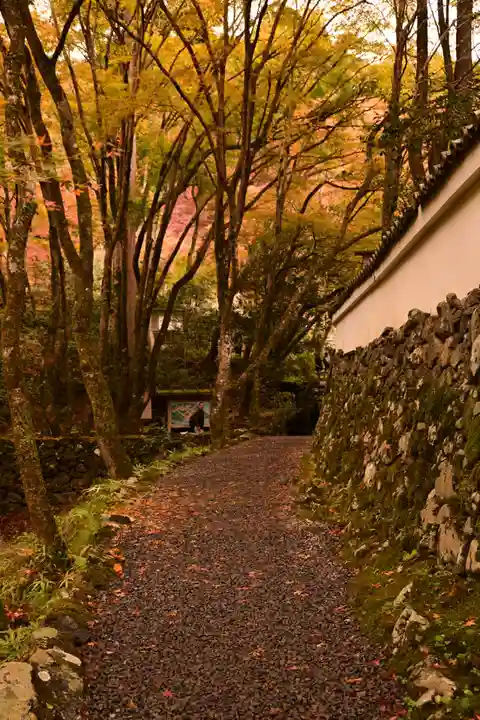 高山寺(京都府)