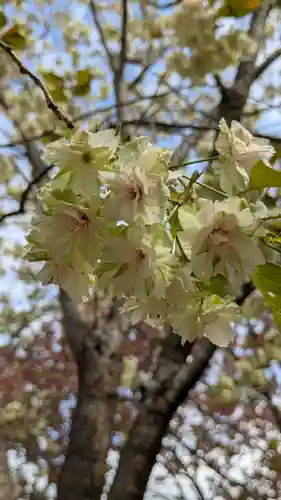圓光寺(京都府)