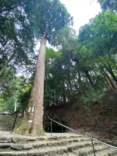 元伊勢内宮 皇大神社(京都府)