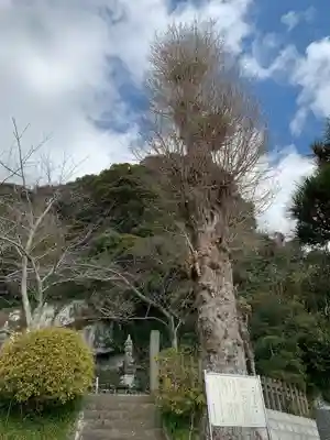 覚翁寺のその他建物