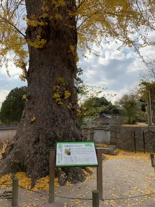 天徳寺(山口県)